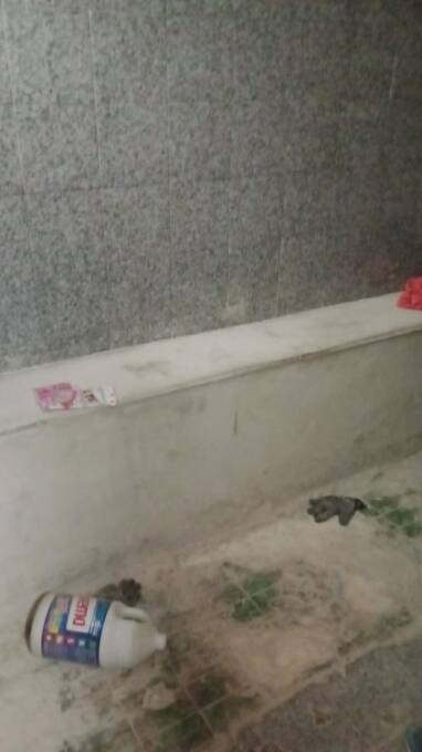 Depósito-Galpão, 316 m² - Foto 11