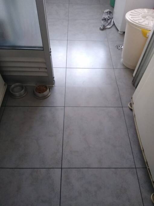 Apartamento, 3 quartos, 65 m² - Foto 9