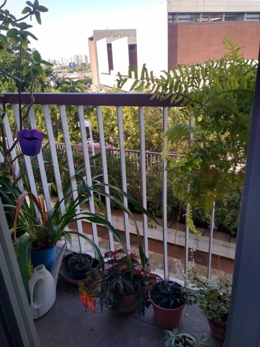 Apartamento, 3 quartos, 65 m² - Foto 16