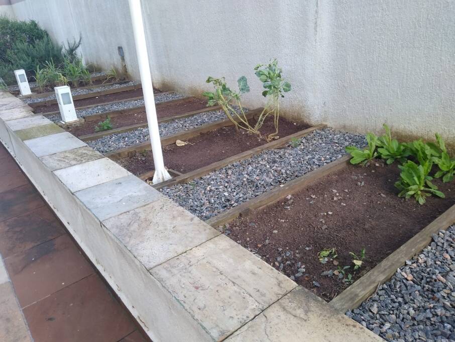 Apartamento, 3 quartos, 65 m² - Foto 27