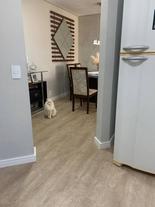 Apartamento, 3 quartos, 62 m² - Foto 21