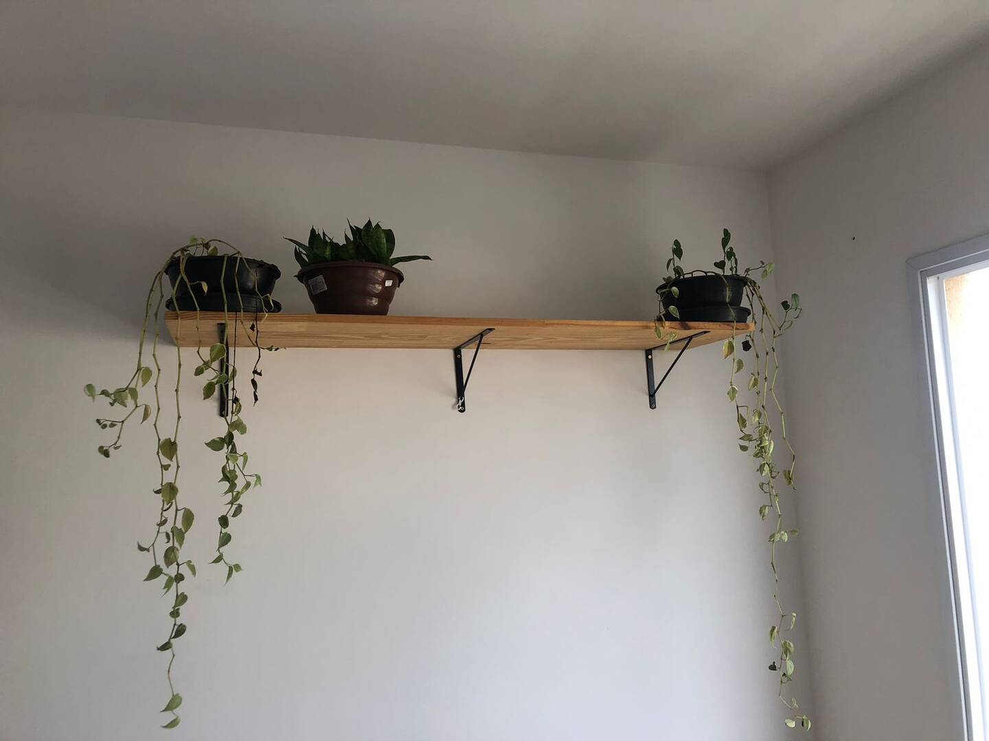 Apartamento, 1 quarto, 30 m² - Foto 10