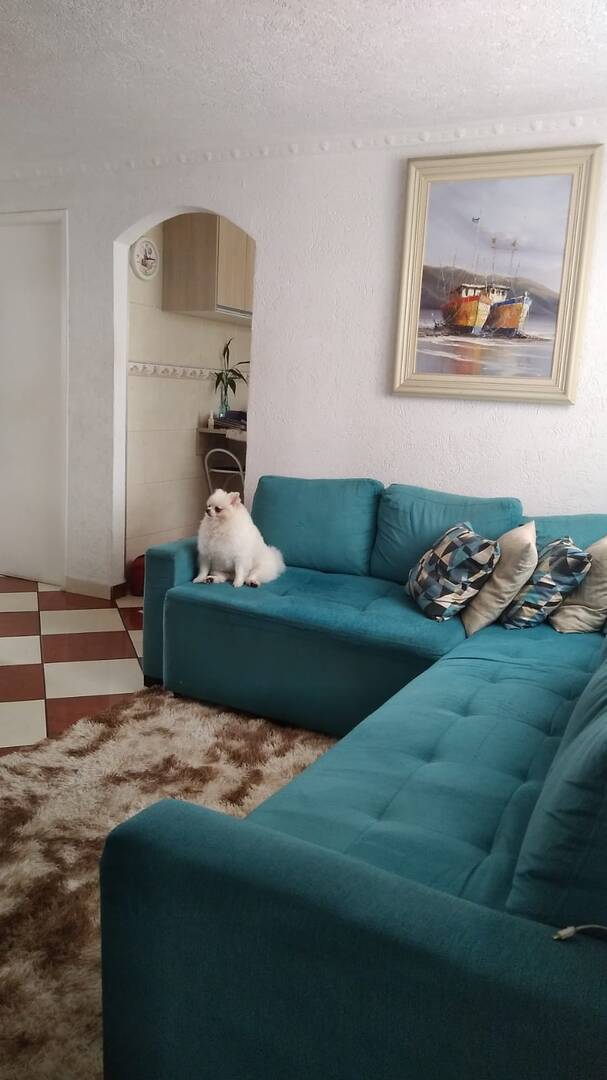 Apartamento, 2 quartos, 54 m² - Foto 1