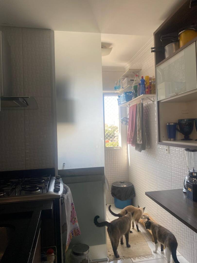 Apartamento, 2 quartos, 44 m² - Foto 9