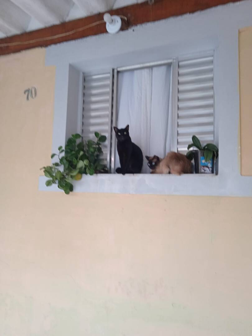 Casa, 3 quartos, 100 m² - Foto 2