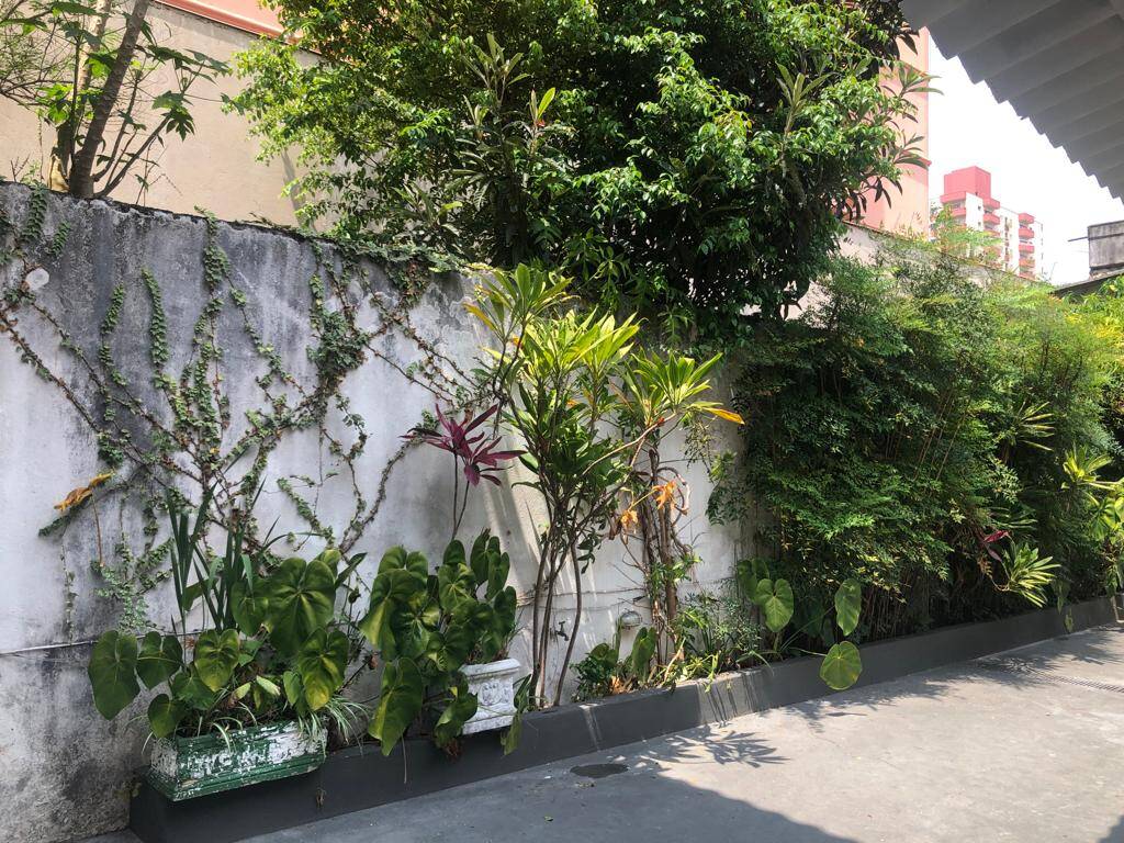 Casa, 80 m² - Foto 15