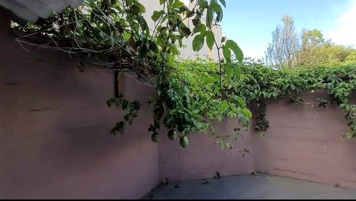 Casa, 2 quartos, 170 m² - Foto 12