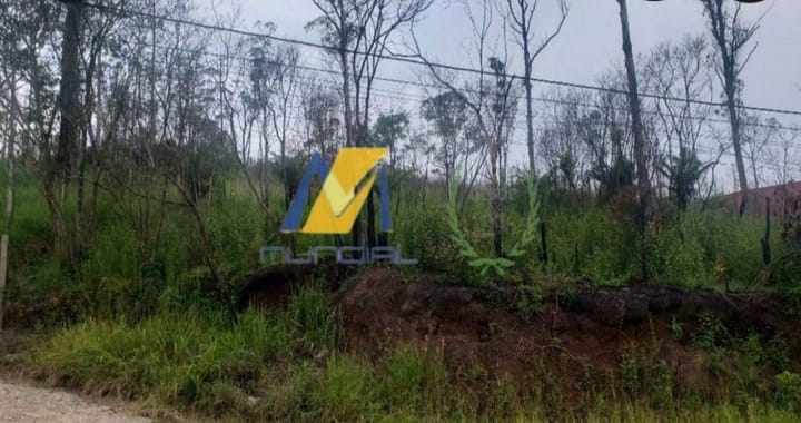 Terreno, 7350 m² - Foto 5