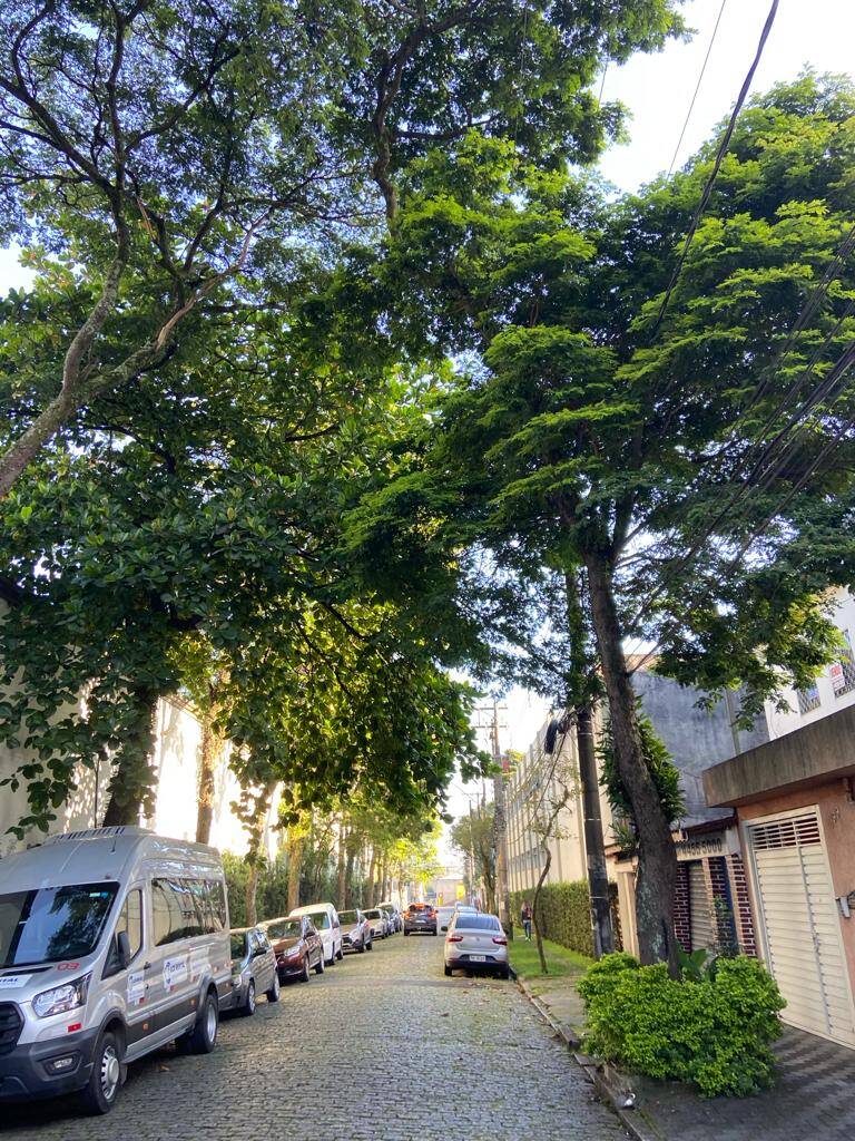 Cobertura, 2 quartos, 88 m² - Foto 2