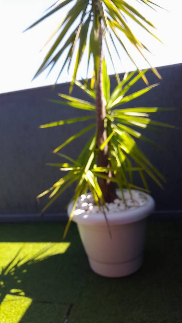 Cobertura, 2 quartos, 68 m² - Foto 14