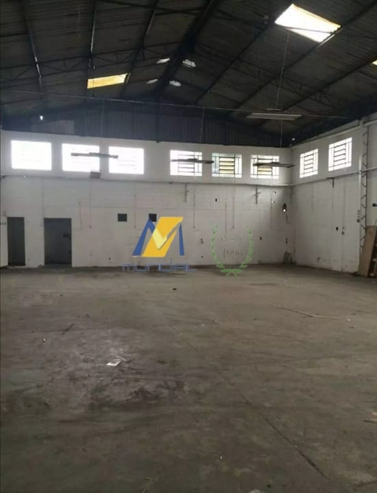 Sala-Conjunto, 698 m² - Foto 3