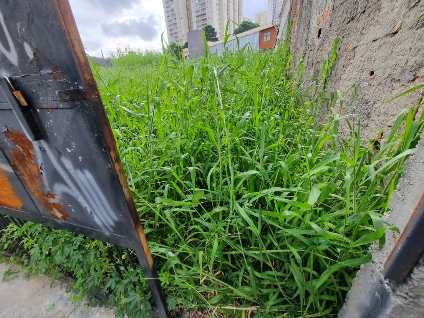 Terreno, 827 m² - Foto 3