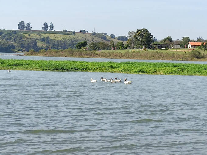 Terreno, 450 m² - Foto 29