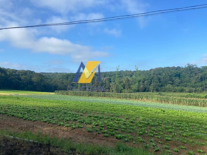 Terreno, 19 hectares - Foto 1