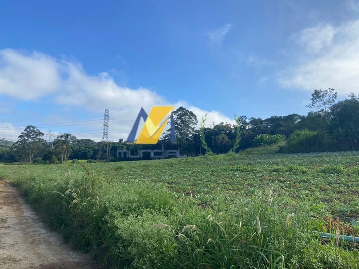 Terreno, 19 hectares - Foto 2