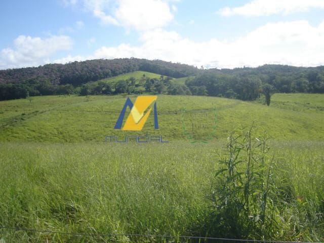 Terreno, 19 hectares - Foto 4