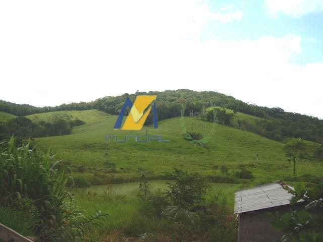 Terreno, 19 hectares - Foto 7