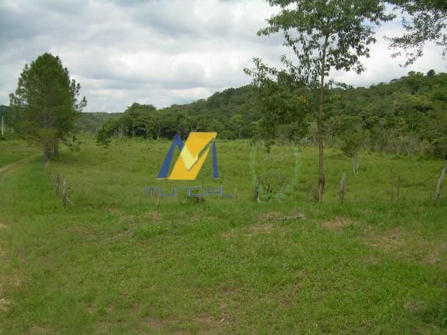Terreno, 19 hectares - Foto 10