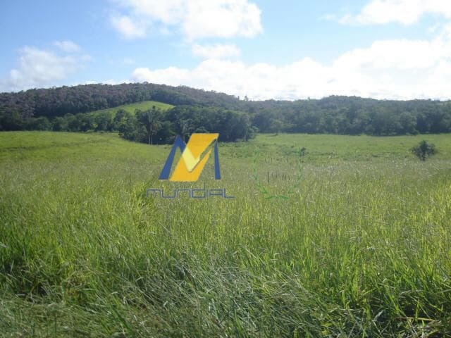 Terreno, 19 hectares - Foto 11