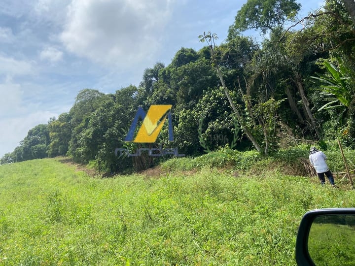 Terreno, 19 hectares - Foto 28