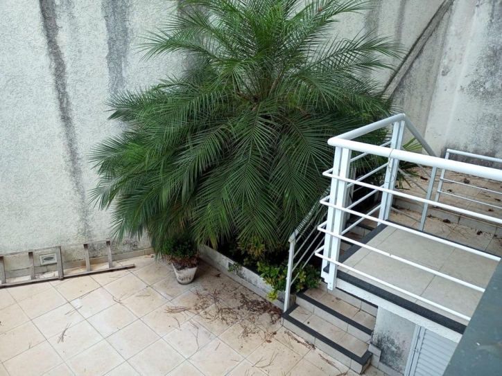 Loja-Salão, 495 m² - Foto 6