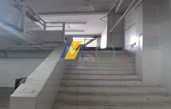 Sala-Conjunto, 250 m² - Foto 3