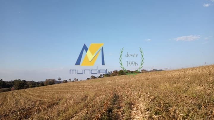 Terreno, 2 hectares - Foto 3