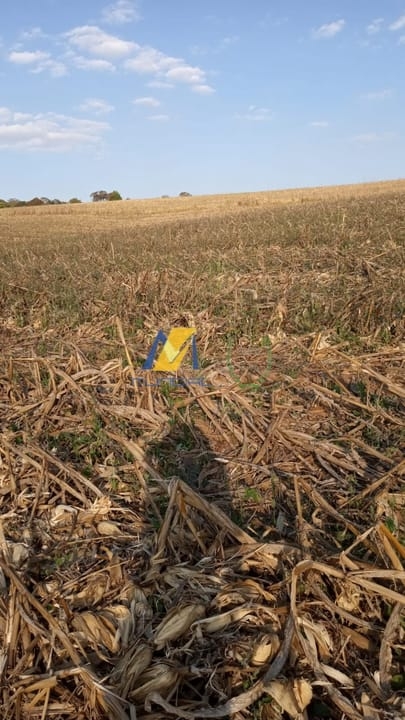 Terreno, 2 hectares - Foto 4