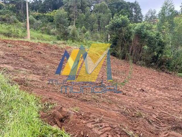 #6631 - Terreno para Venda em Santa Isabel - SP - 3
