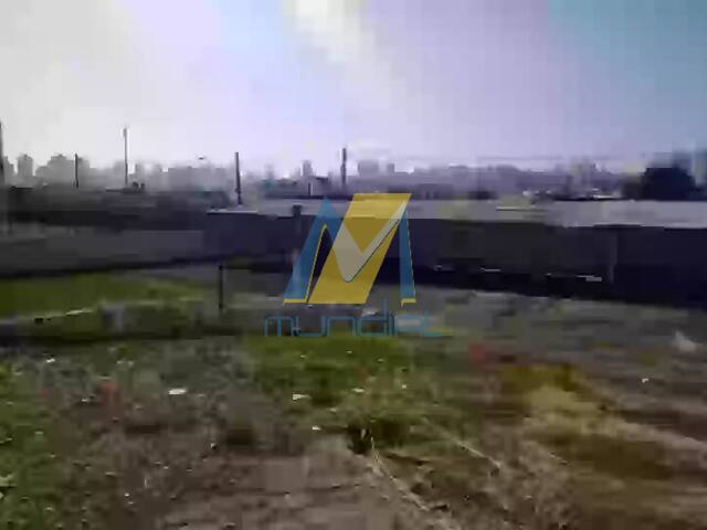 Terreno para Locação em São Bernardo do Campo - 4