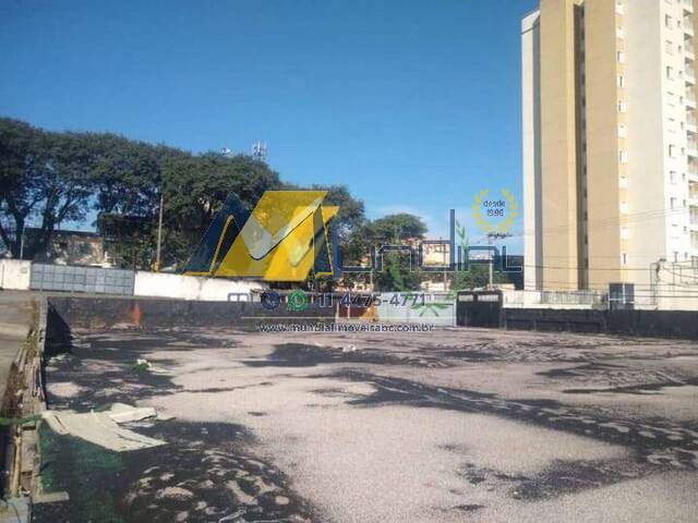 Terreno para Locação em São Bernardo do Campo - 4