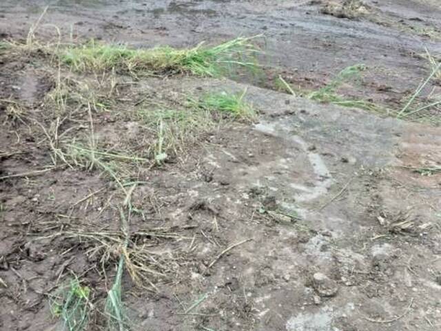 Terreno para Venda em Santo André - 5