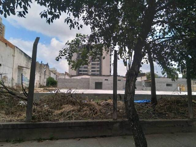 #1551 - Terreno para  em Santo André - SP - 1