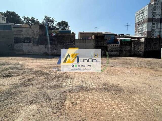 Terreno para Locação em São Bernardo do Campo - 3
