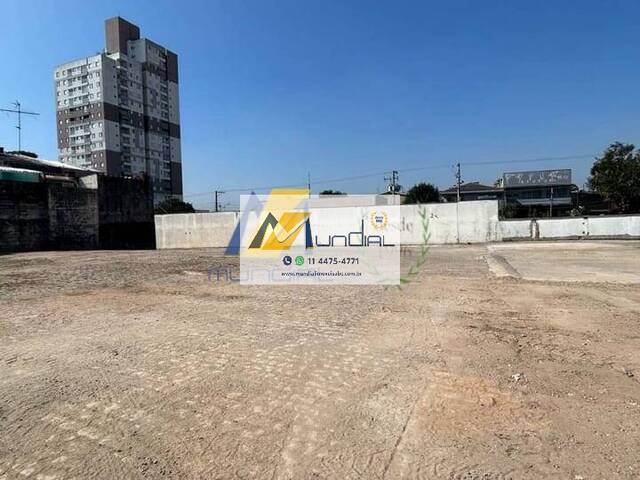 Terreno para Locação em São Bernardo do Campo - 4