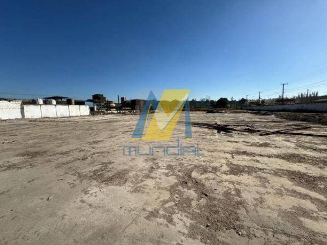 Área para Locação em Mauá - 5