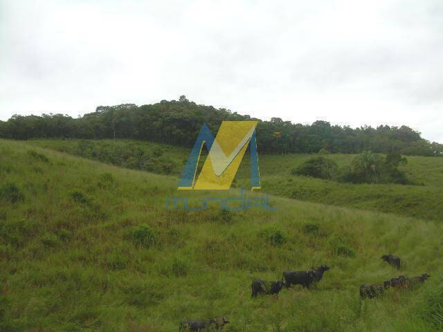 Terreno para Venda em Suzano - 4