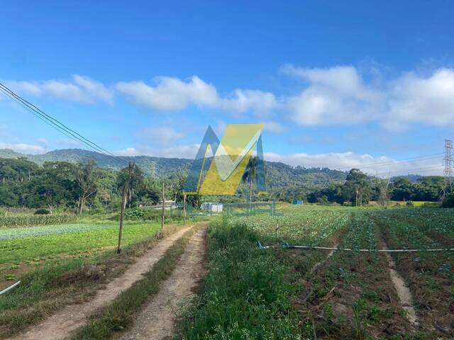 #6476 - Terreno para Venda em Suzano - SP - 3