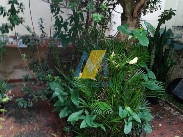 Terreno para Venda em Santo André - 4