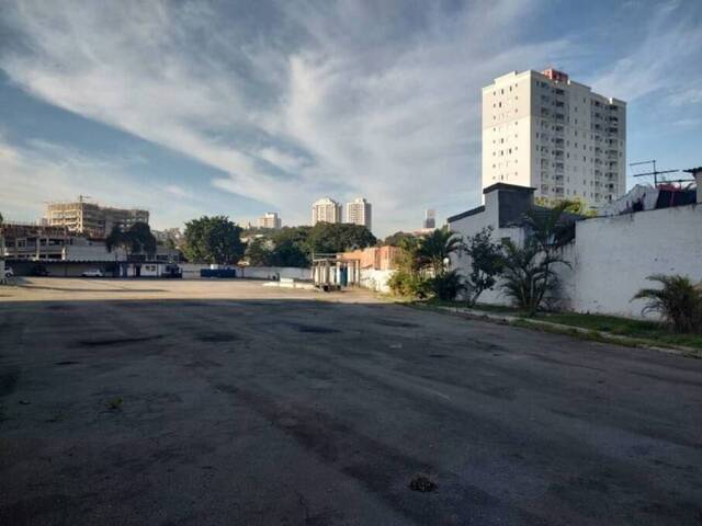 #1893 - Terreno para  em Santo André - SP - 1