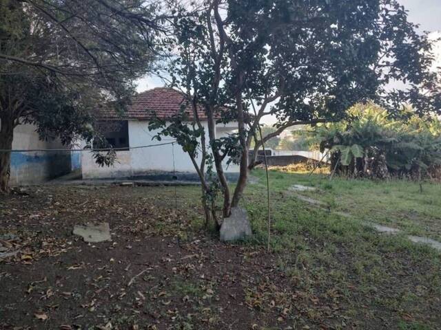  para  em  - 4