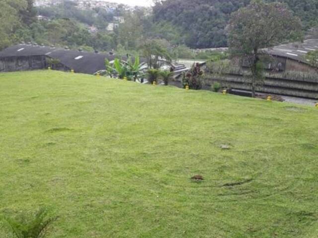 #2024 - Galpão para Venda em Ribeirão Pires - SP - 2