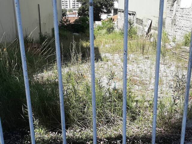#2123 - Terreno para  em Santo André - SP - 3
