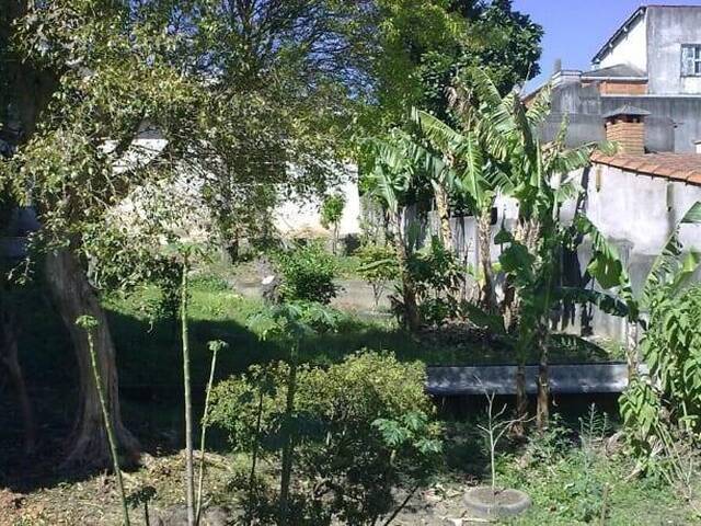 #2168 - Terreno para  em Santo André - SP - 3