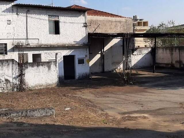 #2384 - Terreno para  em São Paulo - SP - 3