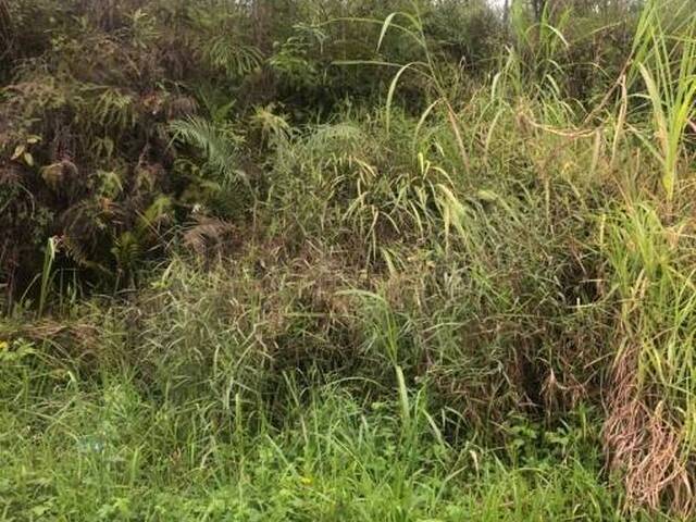 #2515 - Terreno para  em Ribeirão Pires - SP - 1