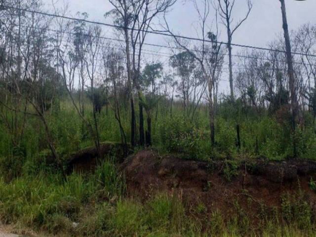 #2515 - Terreno para  em Ribeirão Pires - SP - 2
