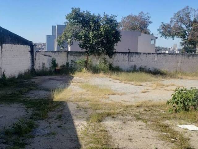#2812 - Terreno para  em Santo André - SP - 3