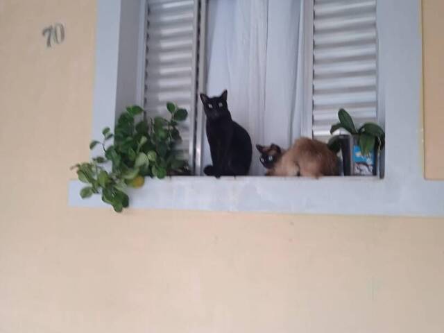 Casa para Venda em Santo André - 2