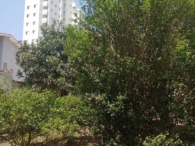 Casa para Venda em Santo André - 4